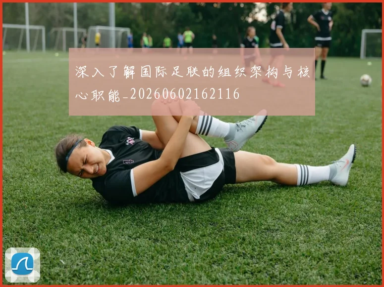 深入了解国际足联的组织架构与核心职能_20260602162116